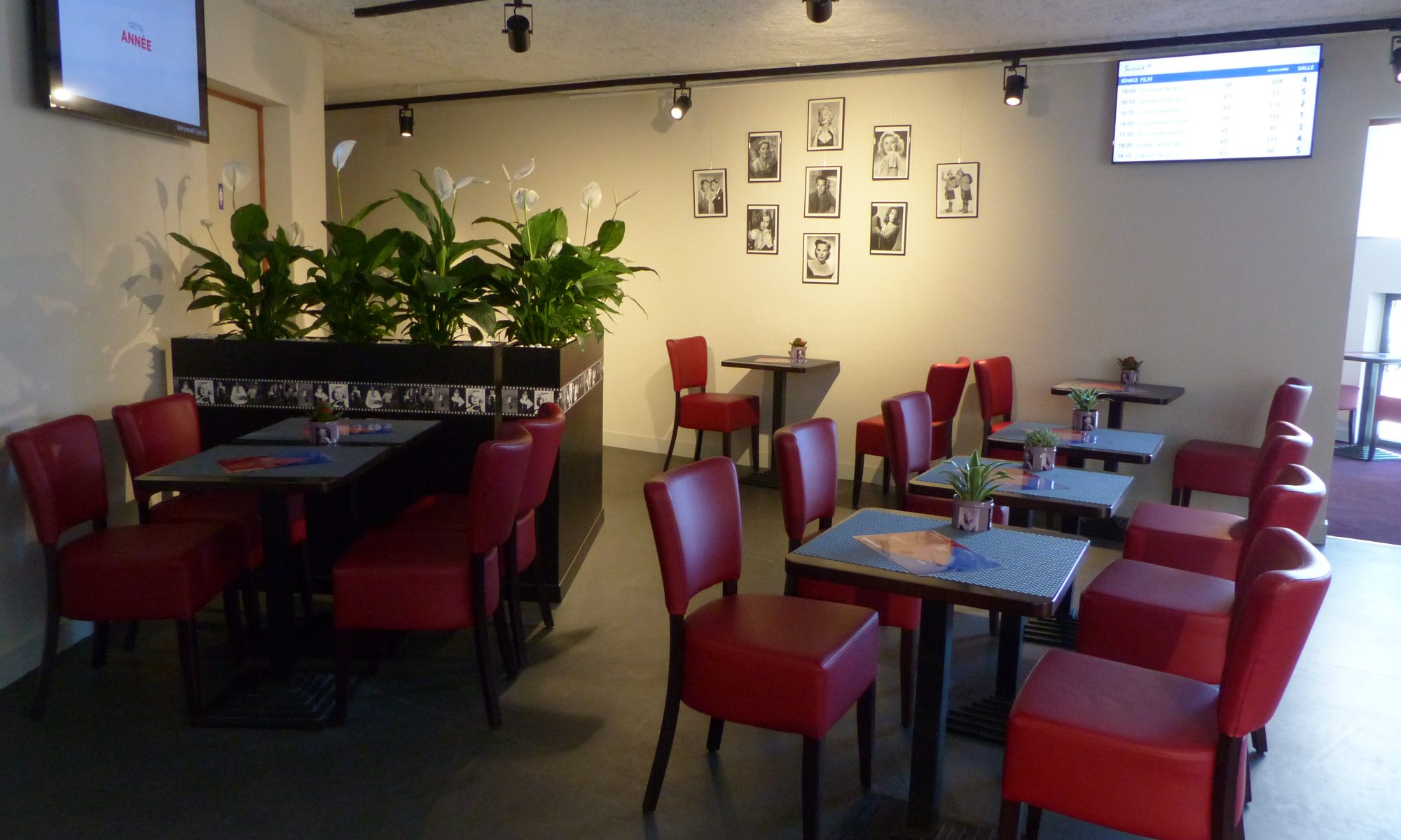 Le Café du Sirius - bar salon de thé restaurant - Le Havre